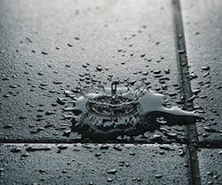 1652342445180 I 0317 Web Ceu 1 1652342445180 I 0317 Web Ceu 1