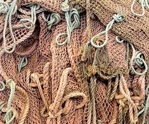 1652342469952 I 0317 Web Ntw 04