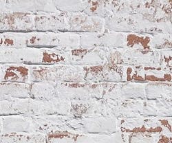 1652342553894 I 0117 Murals Web 1652342553894 I 0117 Murals Web