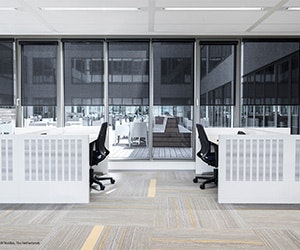 1652342904085 I 1016 Phifer Web