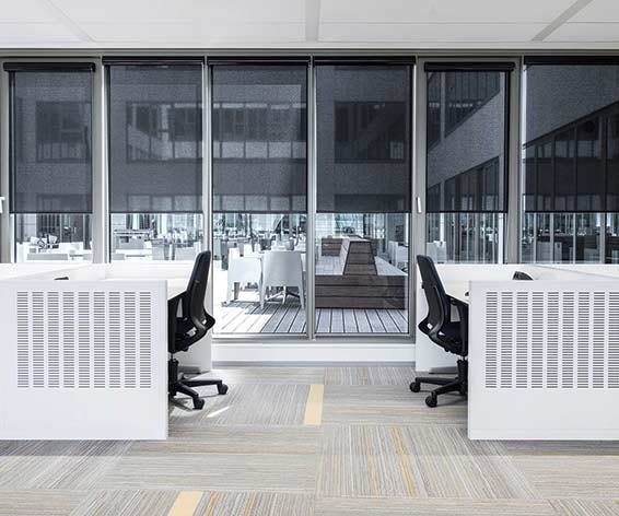 1652342912923 I 1016 Web Windows 3