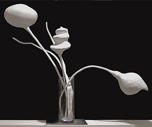 1652343025394 I 0816 Ancis