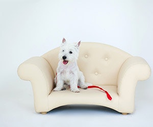 1652343034819 Shutterstock 106331936