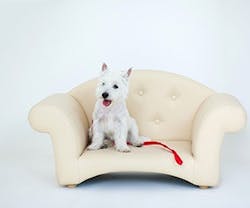 1652343034819 Shutterstock 106331936 1652343034819 Shutterstock 106331936