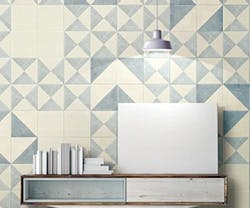 1652343181479 Nemo Chalk Web 1652343181479 Nemo Chalk Web