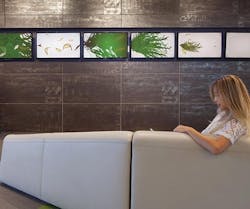 1652343368937 I 0516 Web Pip 1 1652343368937 I 0516 Web Pip 1