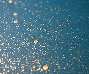 1652343555637 I 0316 Sarkos Web