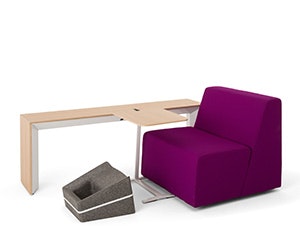 I_0216_turnstone_WEB