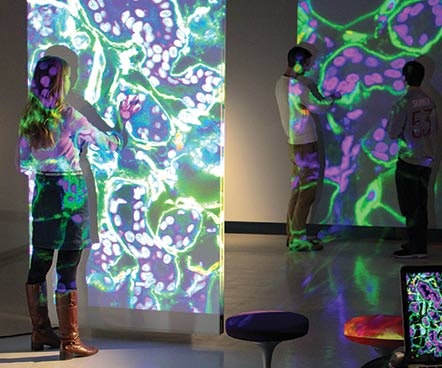 1652343785776 I 0116 Web Howsrcd 1