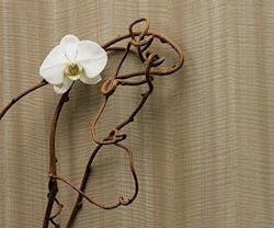 1652343988648 I 1015 Laminart 1652343988648 I 1015 Laminart