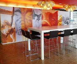 1652344060722 I 1015 Dogsandcats 1652344060722 I 1015 Dogsandcats