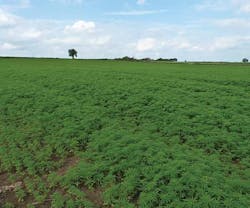 1652344114943 I 1015 Web Profile 1 1652344114943 I 1015 Web Profile 1