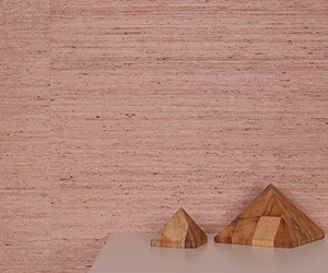 I_0915_innovations_CMS