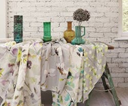 1652344353764 Romosaphira2highrescmyk Small 1652344353764 Romosaphira2highrescmyk Small