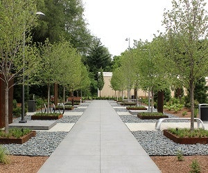 1652344368521 I 0715 Landscapeforms