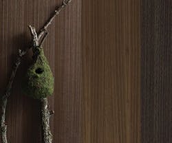 1652344385864 I 0715 Laminart 1652344385864 I 0715 Laminart