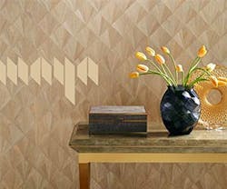 1652344391291 Ajiro Web 1652344391291 Ajiro Web