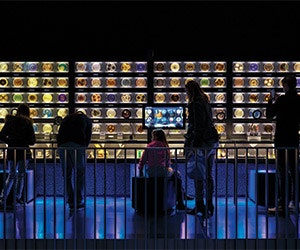 1652344937329 I0215 Also 19 Petridishes Thijswolzak