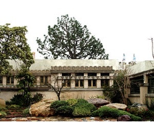 1652344956068 I 0115 Hollyhock