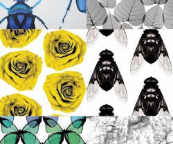 1652345040645 I 0115 Web Edch 10 1652345040645 I 0115 Web Edch 10