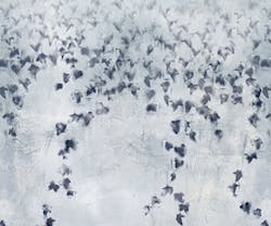 1652345042148 I 0115 Web Edch 4 1652345042148 I 0115 Web Edch 4