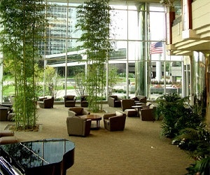 1652345265028 I 1014 Plants