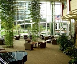 1652345265028 I 1014 Plants 1652345265028 I 1014 Plants