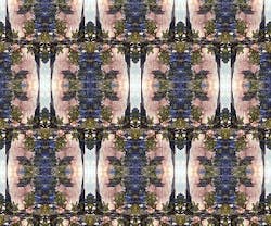 1652345341269 I 1020 Beggars 1652345341269 I 1020 Beggars