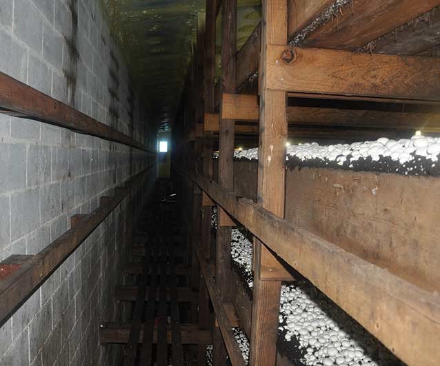 1652345470500 I 1014 Web Howsrcd 1