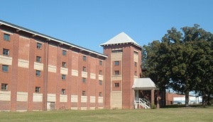 1652345502778 I 0914 Buzzispace