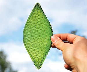 1652345512023 I 0914 Web Ntw 7