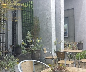 1652345776396 I 0714 Janerohde1