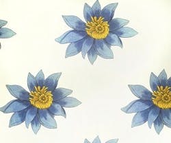 1652346286237 I 0414 Anon 1652346286237 I 0414 Anon