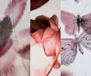 1652346357246 I 0414 Web Vs Main