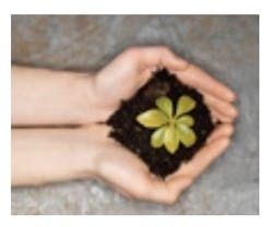 1652346390312 I 0314 Tarketthc 1652346390312 I 0314 Tarketthc