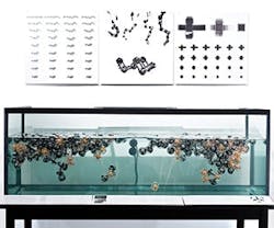 1652346522995 I 0314 Web Iida 1 1652346522995 I 0314 Web Iida 1