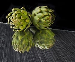 1652346725424 I 0114 Scrimshaw 1652346725424 I 0114 Scrimshaw