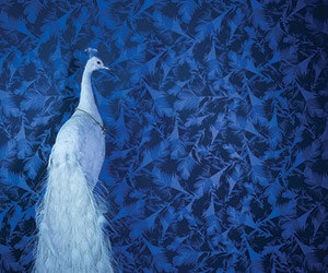 1652346824221 I 0114 Web Edch 3