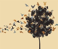 1652346846561 Asid Flocktooffice 1652346846561 Asid Flocktooffice