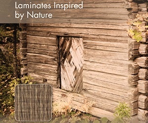 1652346925091 I 1113 Omnova