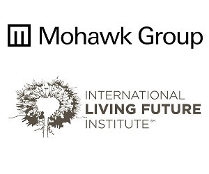 1652346990797 I 1113 Ifli