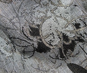 1652347062505 I 1113 Newhscholarship