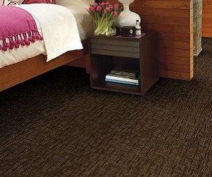 1652347375757 I 0813 Shaw