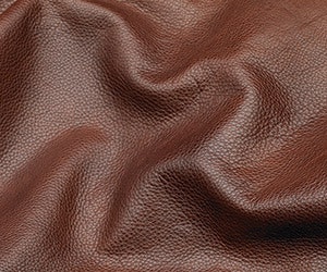 1652347528433 I 0813 Web Qa 1