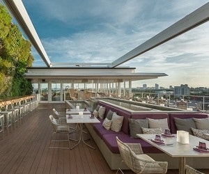 1652347975662 I 0513 Beard1