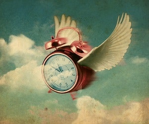 1652348918294 I 1112 Timeflies