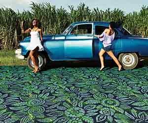 1652348995652 I 1212 Web Descol 1