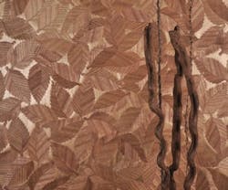 1652349032710 I 0412 Web S Wallcvr 2 1652349032710 I 0412 Web S Wallcvr 2