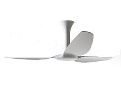 1652349072178 I 1112 Haiku 1652349072178 I 1112 Haiku