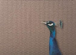 1652349432636 I 0812 Cryptonwall 1652349432636 I 0812 Cryptonwall